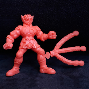 Gomme 95/120 Shiva du Paon 