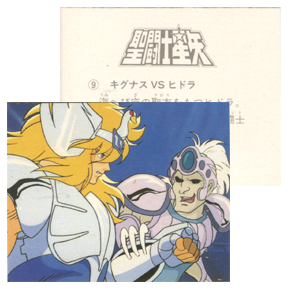 Seiya Carte Amada 009/240