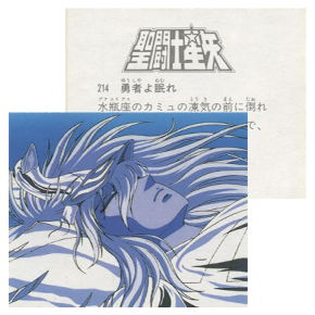 Seiya Carte Amada 214/240