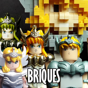 Seiya Mini Briques