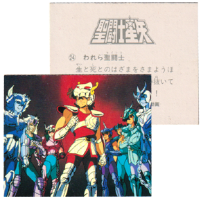 Seiya Carte Amada 009/240