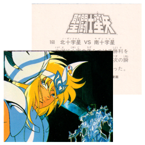 Seiya Carte Amada 160/240