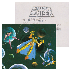 Seiya Carte Amada 230/240